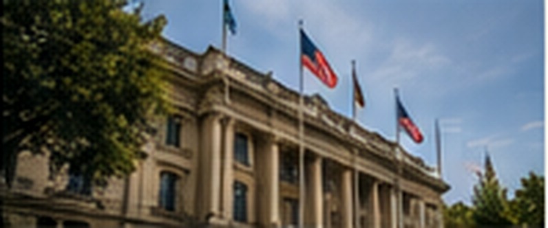 Formal international institution building